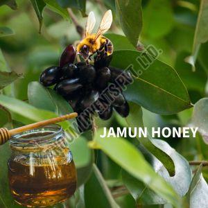 Mom's Farm Jamun Honey, Color : Yellow, Taste : Sweet