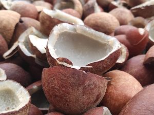 Raw Dried Coconut Copra, Color : Brown, Packaging Size : 25-50kg