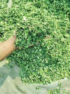 Moringa Leaf, Purity : Heavy Metals <1ppm