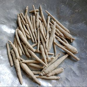 ashwagandha roots