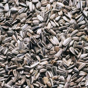 sunflower seeds