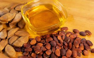 Natural Karanja Oil, Color : Pale Yellow, Form : Liquid