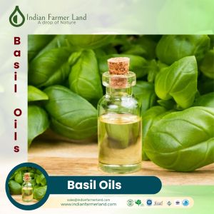 Basil Oil