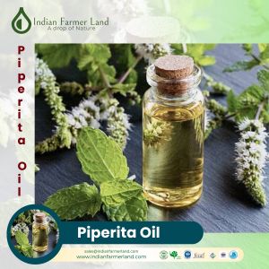 Mentha Piperita Oil, Color : Colourless To Pale Yellow