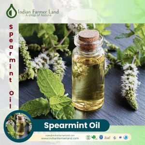 Mentha Spearmint Oil