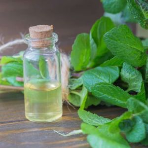 Natural Menthone, Packaging Type : Green