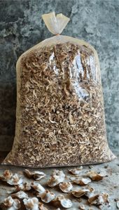 Natural Sun Dry Oyster Mushroom, Packaging Size : 100g