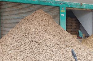 organic turmeric finger