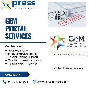Gem Government E Marketplace Consultant