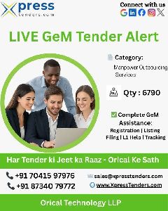 Gem Portal Support Services