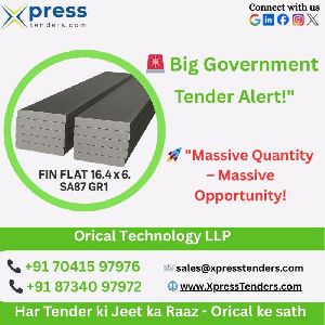Government Tenders