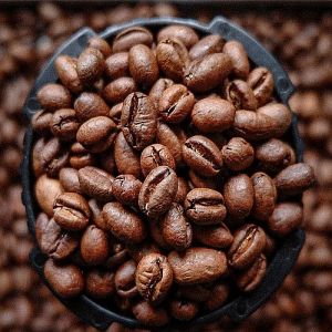 A Grade Robusta Roasted Coffee Beans