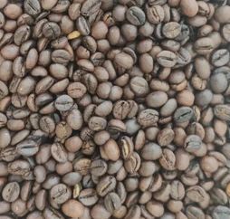 C Grade Washed Robusta Roasted Coffee Beans