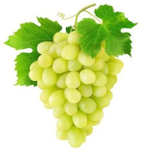 Organic Fresh Green Grapes for Human Consumption