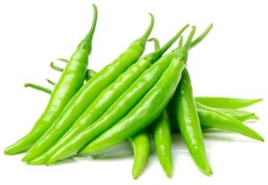 Organic Fresh Hybrid Green Chilli, Storage Tips : Cold Storage