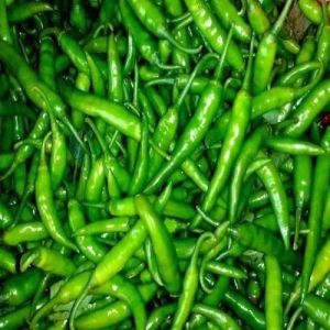 Fresh Long Green Chilli