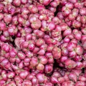 Fresh Small Red Onion