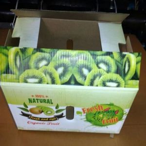 Kiwi Corrugated Boxes