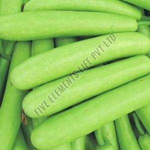 A Grade Fresh Bottle Gourd, Color : Green, Packaging Type : Bag