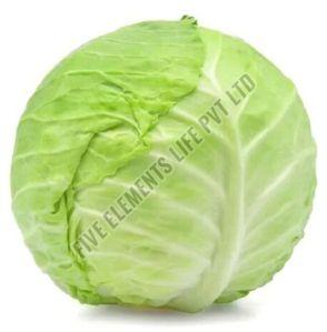 A Grade Fresh Green Cabbage