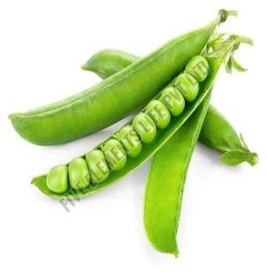 A Grade Fresh Green Peas, Packaging Type : Bag
