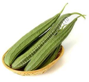 A Grade Fresh Green Ridge Gourd, Packaging Type : Mesh Bag