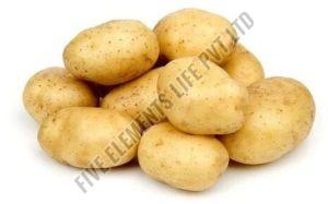 a grade fresh potato