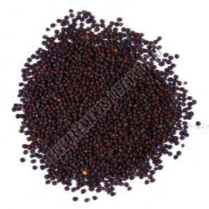 Brown Mustard Seeds for Pickling