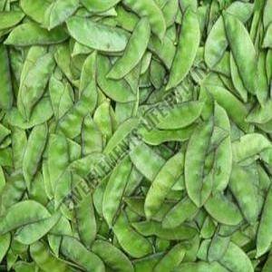 Fresh Green Broad Beans, Packaging Type : Bag for Stir-fries