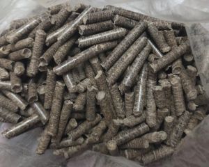 Biomass Wood Pellet