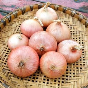 Fresh Pink Onion, Shape : Round, Form : Whole