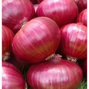 Nashik Red Onions