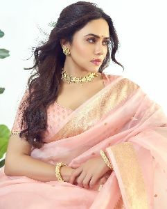 Pastel Peach Banarasi Handloom Kora Silk Saree