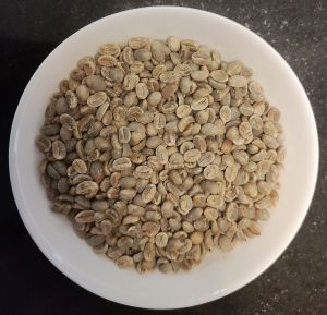Arabica Plantation B Beans- Washed