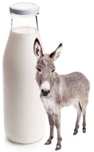 Fresh Donkey Milk