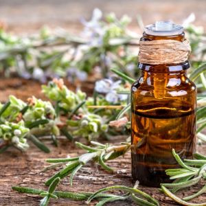 100% Pure Natural Rosemary Essential Oil New Bulk