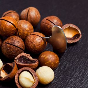 Edible Nuts