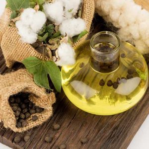 Cotton Seed Oil