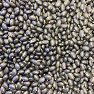 Natural Soft Fresh Black Beans Medium Uniform Size