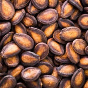 Organic Black Brown Watermelon Seeds