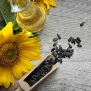 Food Grains & Cereals