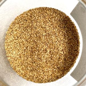 Premium Quality Fresh Sesame Seeds