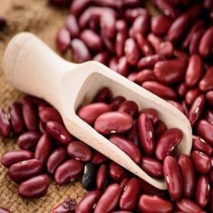premium quality red kidney beans