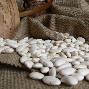 Soft Organic Premium White Kidney Beans, Shape : Granules