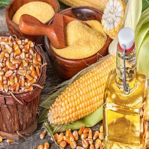 Refined Extraction Crude Corn Oil