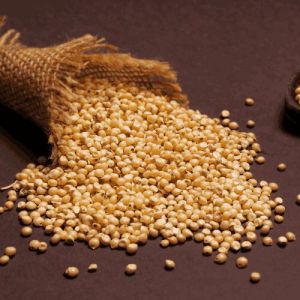 White Yellow Sorghum Seeds