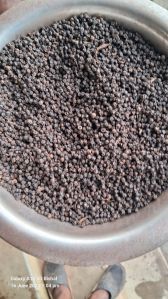 Meghalaya  Black Pepper