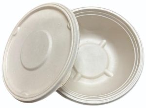 Areca Palm Leaf Round Food Container