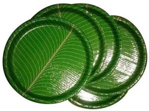 Paper Round Disposable Plates 14 Inch