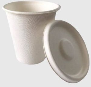 Sugarcane Bagasse Cup